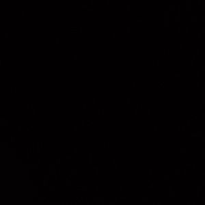 Meet your Posher, Aris